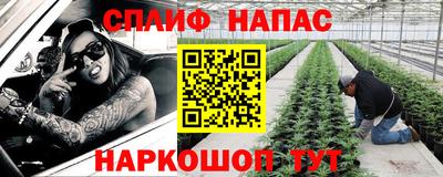 стаф Обь