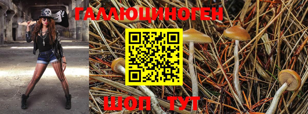 Соликамск  Псилоцибиновые грибы MAGIC MUSHROOMS  где купить   Псилоцибиновые грибы GOLDEN TEACHER  Вход с VPN 